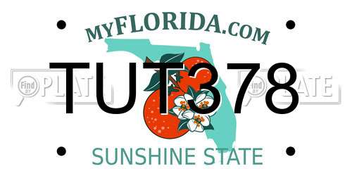 TUT378 Florida License Plate