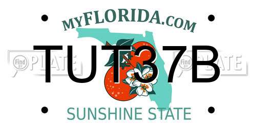 TUT37B Florida License Plate