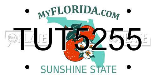 TUT5255 Florida License Plate