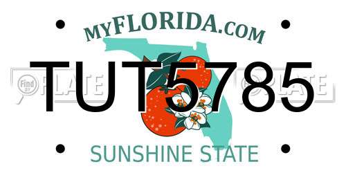 TUT5785 Florida License Plate