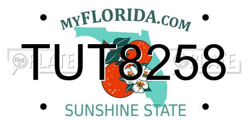 TUT8258 Florida License Plate