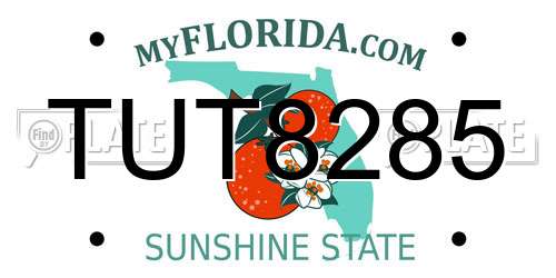 TUT8285 Florida License Plate