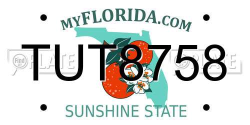 TUT8758 Florida License Plate