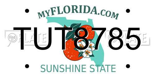TUT8785 Florida License Plate