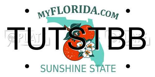 TUTSTBB Florida License Plate