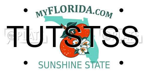 TUTSTSS Florida License Plate