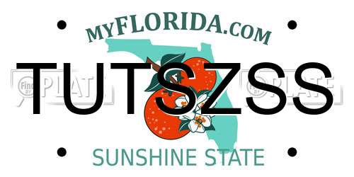 TUTSZSS Florida License Plate