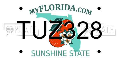 TUZ328 Florida License Plate