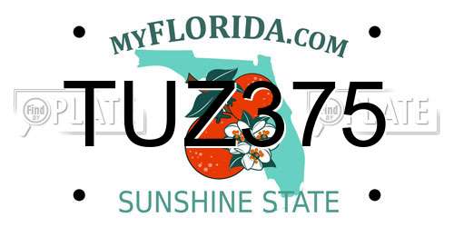 TUZ375 Florida License Plate