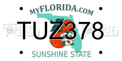 TUZ378 Florida License Plate
