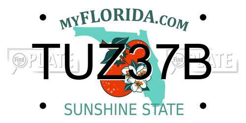 TUZ37B Florida License Plate