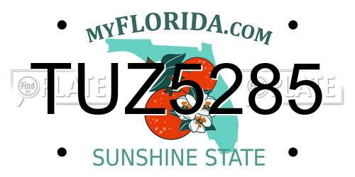 TUZ5285 Florida License Plate
