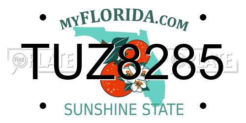 TUZ8285 Florida License Plate