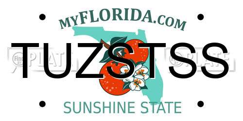 TUZSTSS Florida License Plate