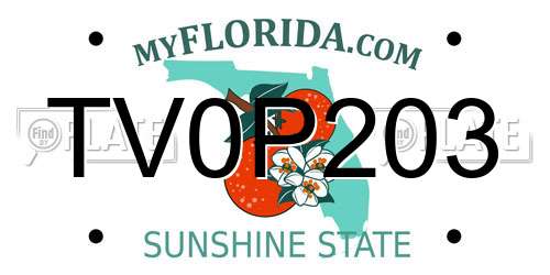 TV0P203 Florida License Plate