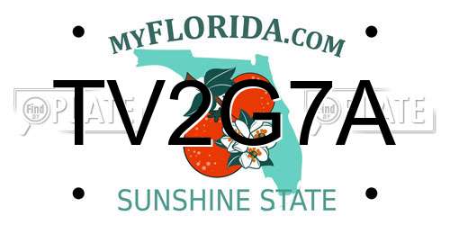 TV2G7A Florida License Plate