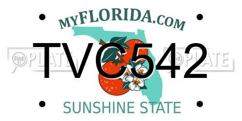 TVC542 Florida License Plate