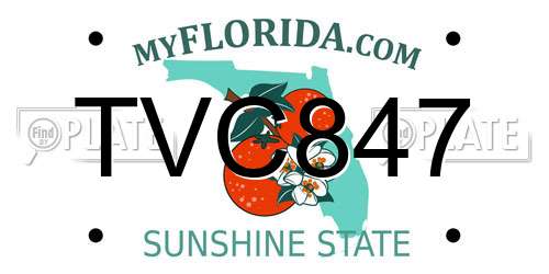 TVC847 Florida License Plate