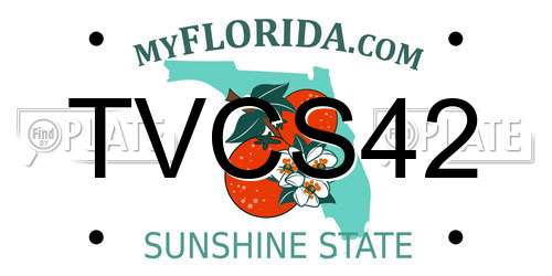 TVCS42 Florida License Plate