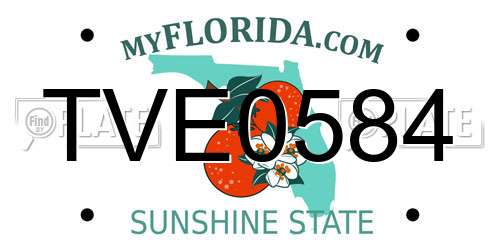 TVE0584 Florida License Plate