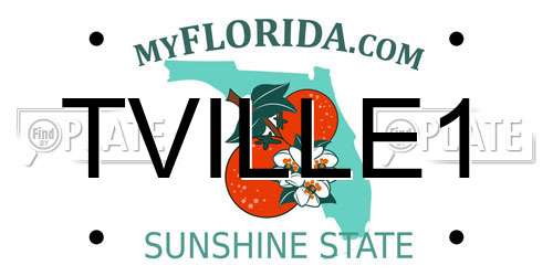TVILLE1 Florida License Plate