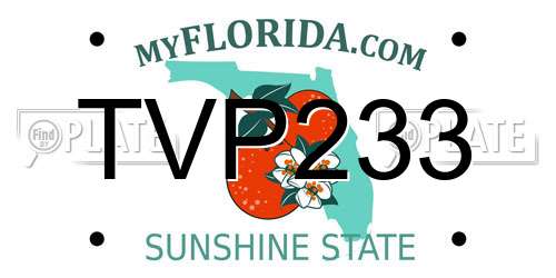 TVP233 Florida License Plate