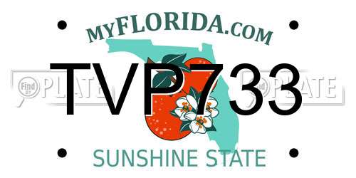 TVP733 Florida License Plate