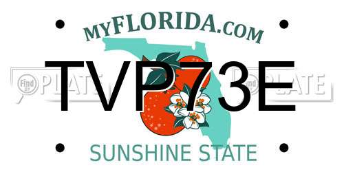 TVP73E Florida License Plate