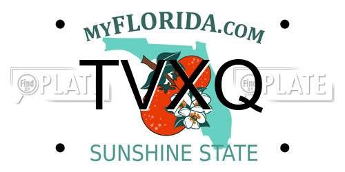 TVXQ Florida License Plate