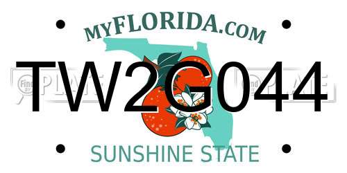 TW2G044 Florida License Plate