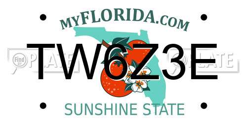 TW6Z3E Florida License Plate