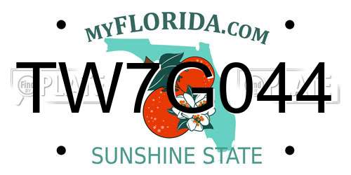 TW7G044 Florida License Plate