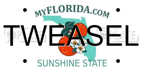 TWEASEL Florida License Plate