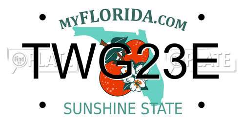 TWG23E Florida License Plate