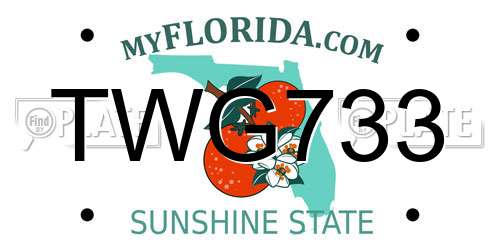 TWG733 Florida License Plate