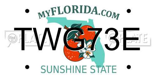 TWG73E Florida License Plate
