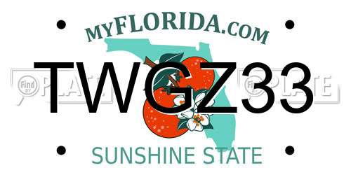 TWGZ33 Florida License Plate