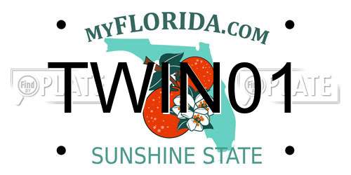 TWIN01 Florida License Plate