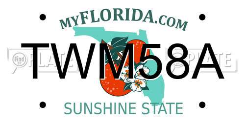 TWM58A Florida License Plate