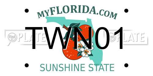 TWN01 Florida License Plate