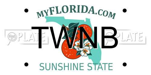 TWNB Florida License Plate