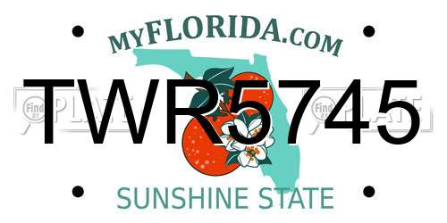 TWR5745 Florida License Plate