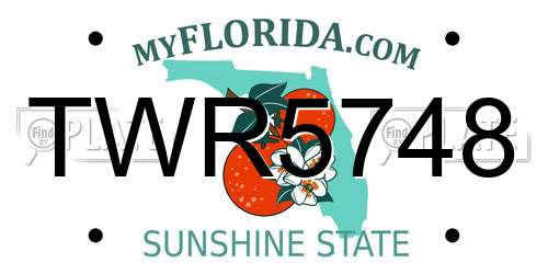 TWR5748 Florida License Plate