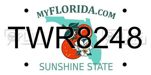 TWR8248 Florida License Plate