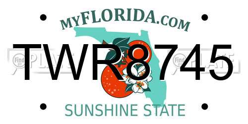 TWR8745 Florida License Plate