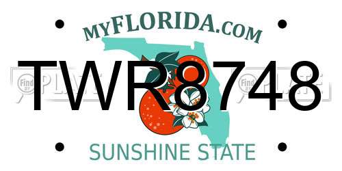 TWR8748 Florida License Plate