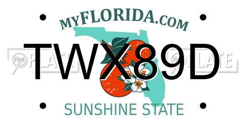 TWX89D Florida License Plate