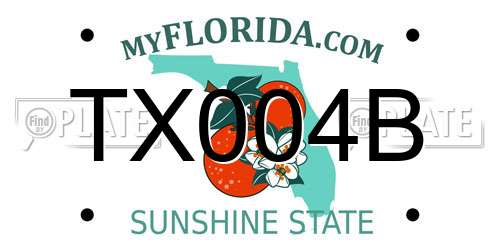 TX004B Florida License Plate