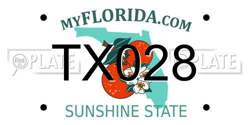 TX028 Florida License Plate