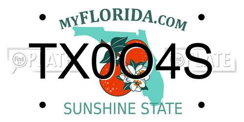TX0O4S Florida License Plate